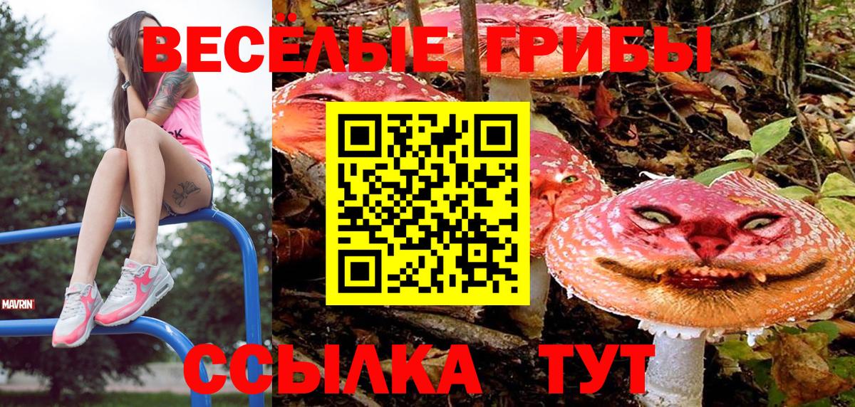 Псилоцибиновые грибы мухоморы  дарнет шоп  Нефтеюганск  Вход с VPN  Галлюциногенные грибы мицелий 
