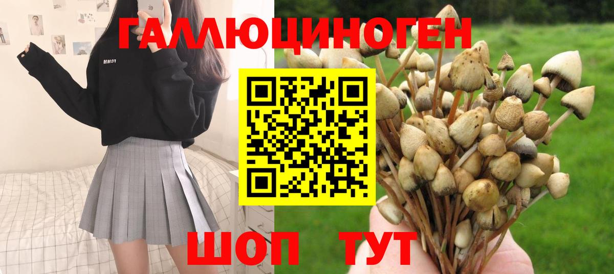 Галлюциногенные грибы Magic Shrooms Нефтеюганск
